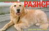 Filename=pa3hcf.jpg
Filesize=18KB
Dimensions=510x328
Date added=Nov 22, 2009 pa3hcf.jpg
