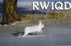 Filename=rw1qd.jpg
Filesize=14KB
Dimensions=510x332
Date added=Nov 22, 2009 rw1qd.jpg
